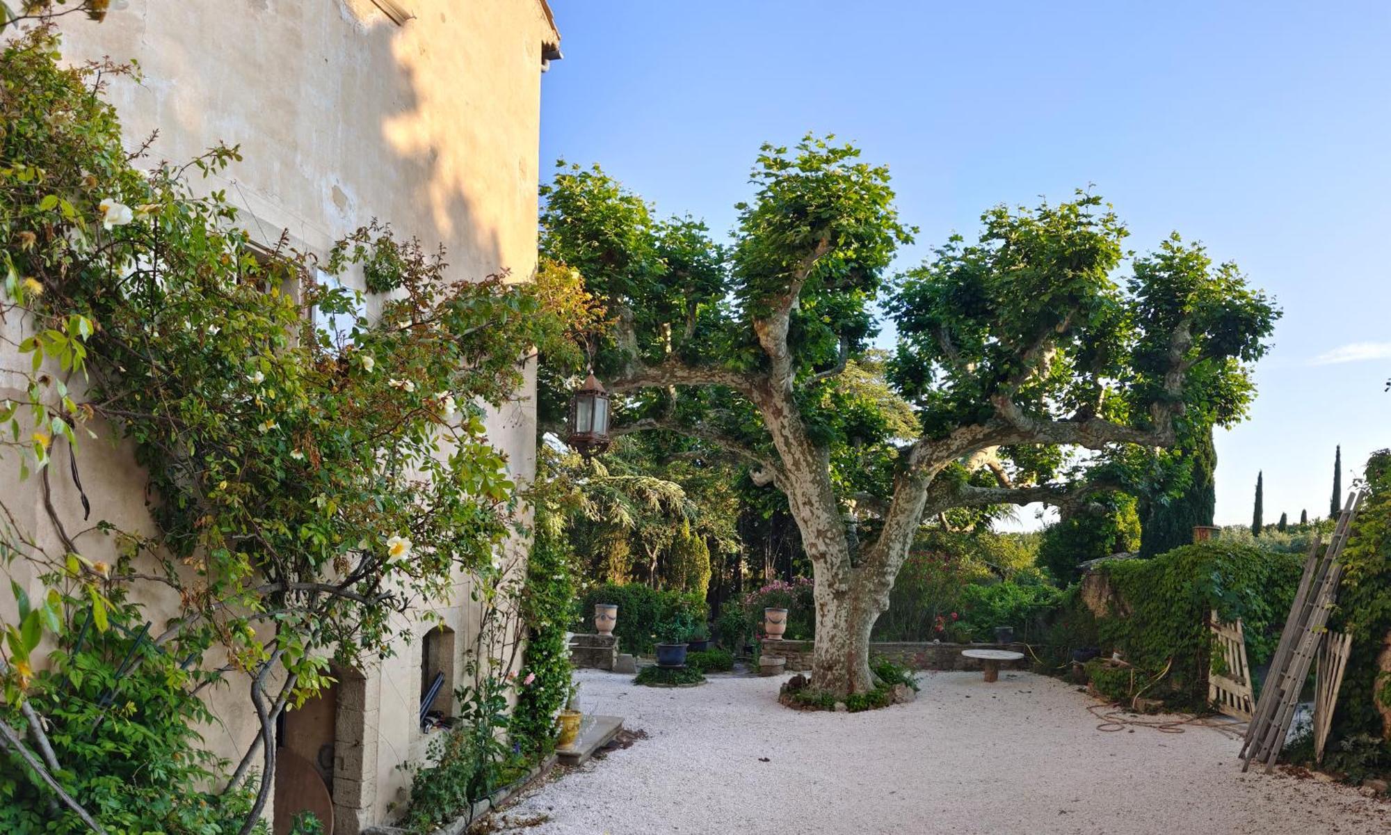 Rue Du Chateau A Cabrieres D'Avignon Bed & Breakfast Ngoại thất bức ảnh