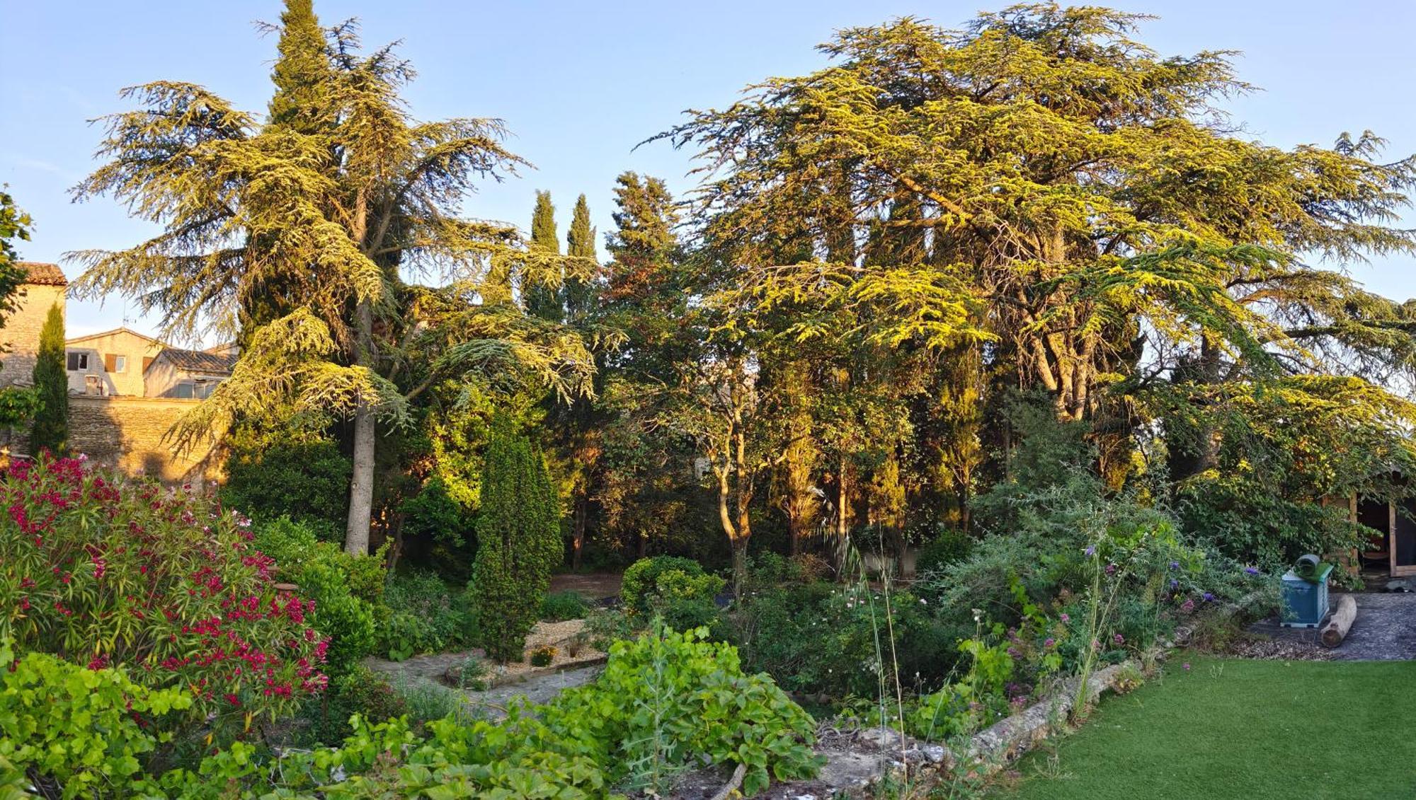 Rue Du Chateau A Cabrieres D'Avignon Bed & Breakfast Ngoại thất bức ảnh